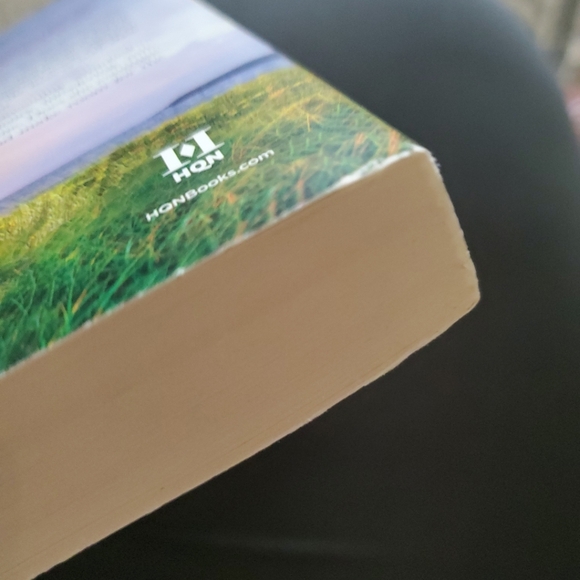 Cape Sanctuary Series: The Path to Sunshine Cove by Raeanne Thayne - Picture 5 of 6